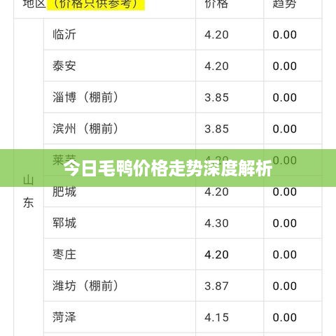 今日毛鸭价格走势深度解析