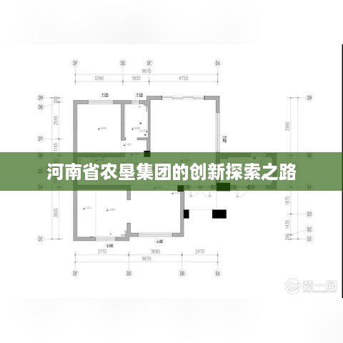 河南省农垦集团的创新探索之路