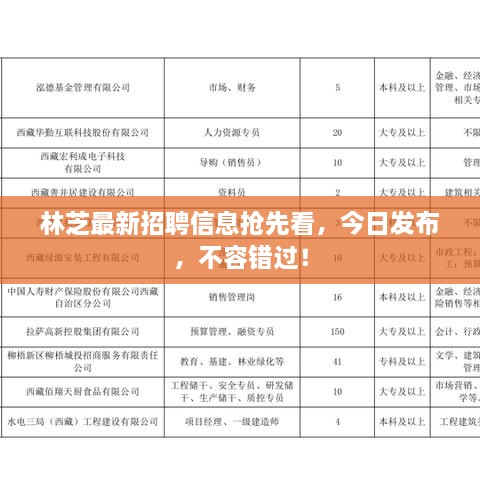 林芝最新招聘信息抢先看，今日发布，不容错过！