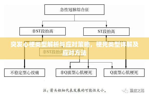 突发心梗类型解析与应对策略，梗死类型详解及应对方法