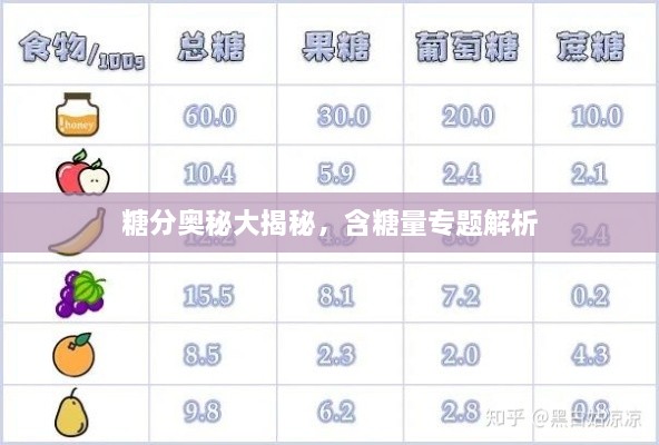 糖分奥秘大揭秘，含糖量专题解析