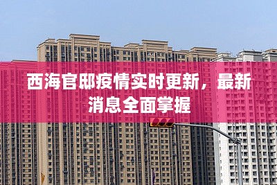 西海官邸疫情实时更新，最新消息全面掌握