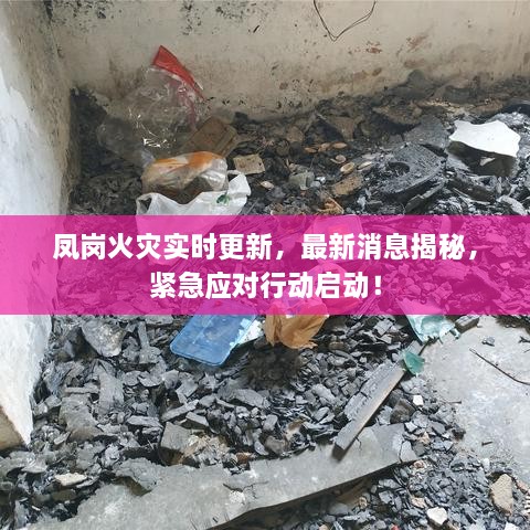 凤岗火灾实时更新，最新消息揭秘，紧急应对行动启动！