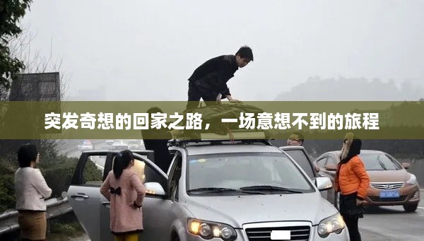 突发奇想的回家之路，一场意想不到的旅程
