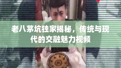 老八茅坑独家揭秘，传统与现代的交融魅力视频