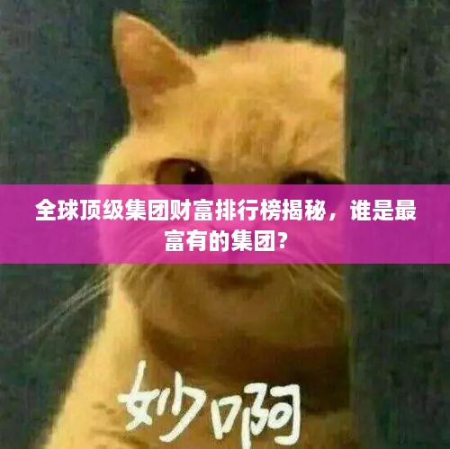 全球顶级集团财富排行榜揭秘，谁是最富有的集团？