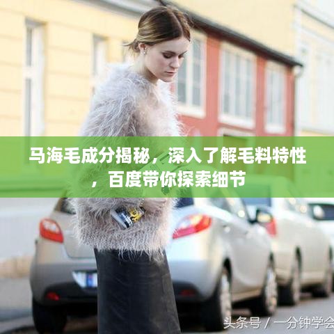 马海毛成分揭秘，深入了解毛料特性，百度带你探索细节