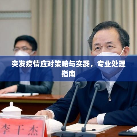 突发疫情应对策略与实践，专业处理指南