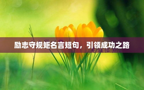 励志守规矩名言短句，引领成功之路