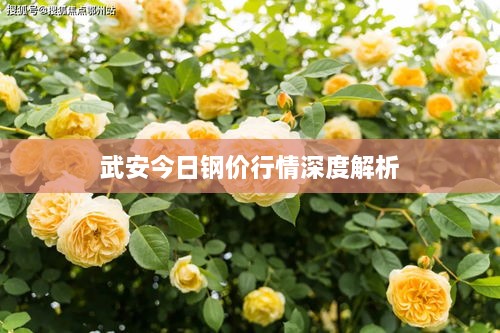 武安今日钢价行情深度解析