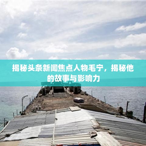 揭秘头条新闻焦点人物毛宁，揭秘他的故事与影响力