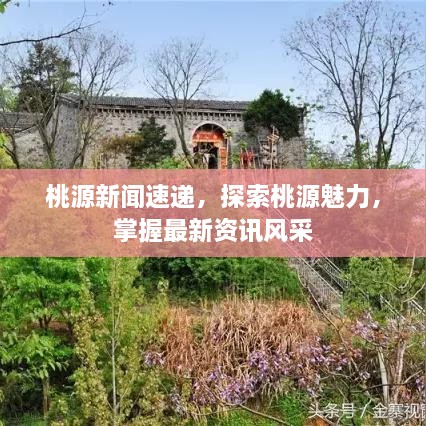 桃源新闻速递，探索桃源魅力，掌握最新资讯风采