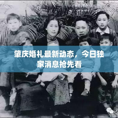 肇庆婚礼最新动态，今日独家消息抢先看