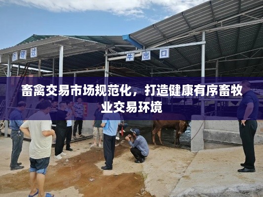 畜禽交易市场规范化，打造健康有序畜牧业交易环境