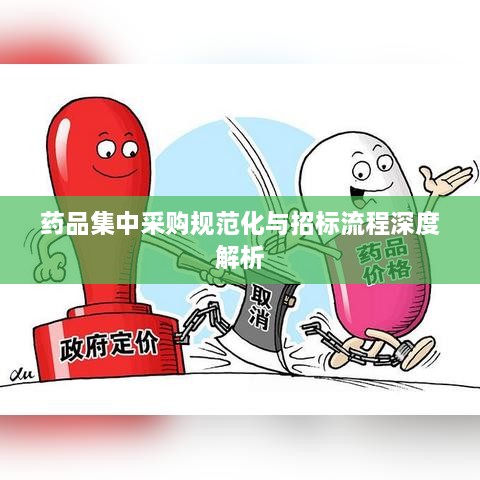 药品集中采购规范化与招标流程深度解析