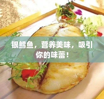 银鳕鱼，营养美味，吸引你的味蕾！
