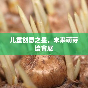儿童创意之星，未来萌芽培育展