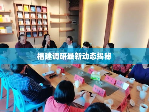 福建调研最新动态揭秘