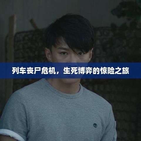列车丧尸危机，生死博弈的惊险之旅