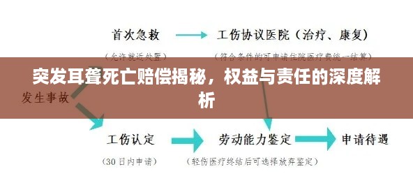 突发耳聋死亡赔偿揭秘，权益与责任的深度解析
