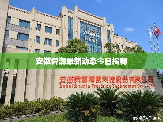 安徽舜潮最新动态今日揭秘