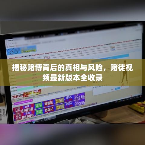揭秘赌博背后的真相与风险，赌徒视频最新版本全收录