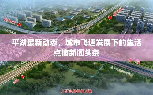 平湖最新动态，城市飞速发展下的生活点滴新闻头条