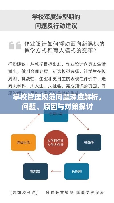 学校管理规范问题深度解析，问题、原因与对策探讨