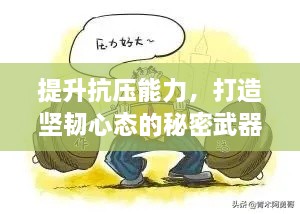 提升抗压能力，打造坚韧心态的秘密武器