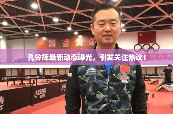 孔令辉最新动态曝光，引发关注热议！