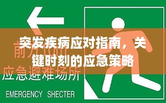 突发疾病应对指南，关键时刻的应急策略