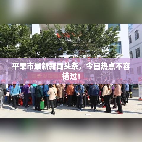 平果市最新新闻头条，今日热点不容错过！