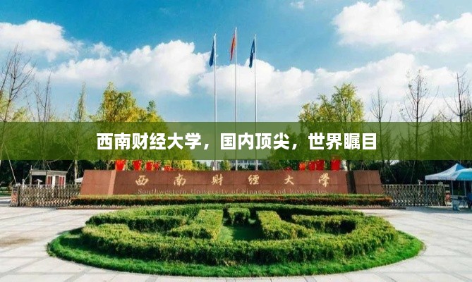 西南财经大学，国内顶尖，世界瞩目
