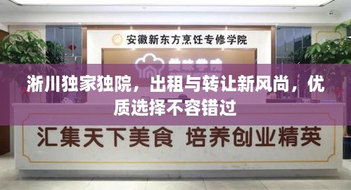 淅川独家独院，出租与转让新风尚，优质选择不容错过