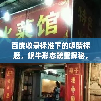 百度收录标准下的吸睛标题，蜗牛形态螃蟹探秘，一场海底奇妙之旅！