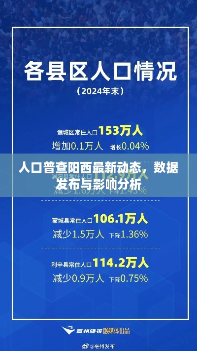 人口普查阳西最新动态，数据发布与影响分析
