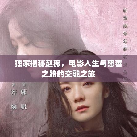 独家揭秘赵薇，电影人生与慈善之路的交融之旅
