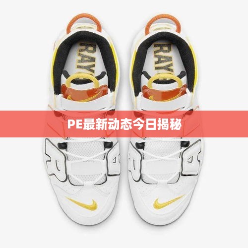 PE最新动态今日揭秘