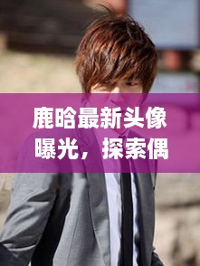 鹿晗最新头像曝光，探索偶像魅力新形象！