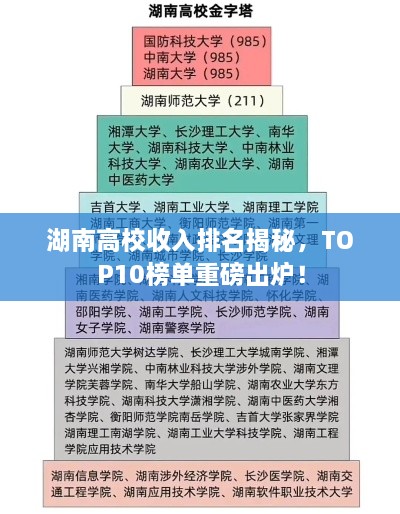 湖南高校收入排名揭秘，TOP10榜单重磅出炉！