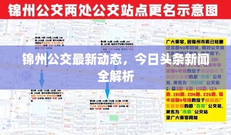 锦州公交最新动态，今日头条新闻全解析