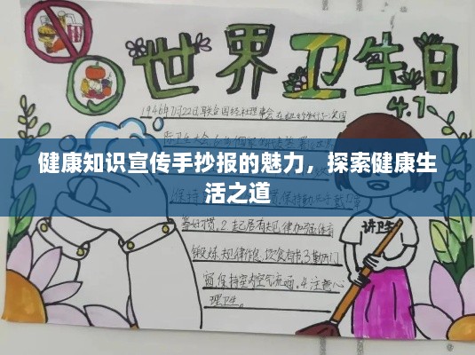 健康知识宣传手抄报的魅力，探索健康生活之道