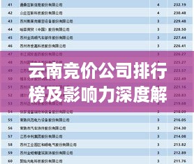 云南竞价公司排行榜及影响力深度解析