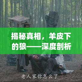 揭秘真相，羊皮下的狼——深度剖析虚假表象背后的真实面目