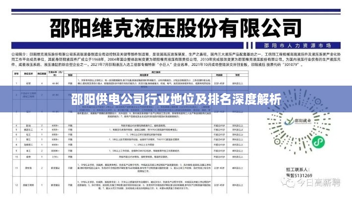 邵阳供电公司行业地位及排名深度解析