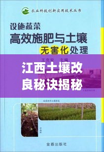 江西土壤改良秘诀揭秘，高效之道！