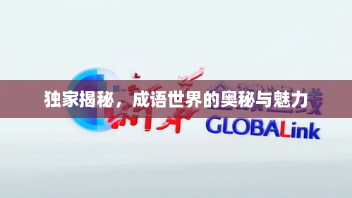 独家揭秘，成语世界的奥秘与魅力