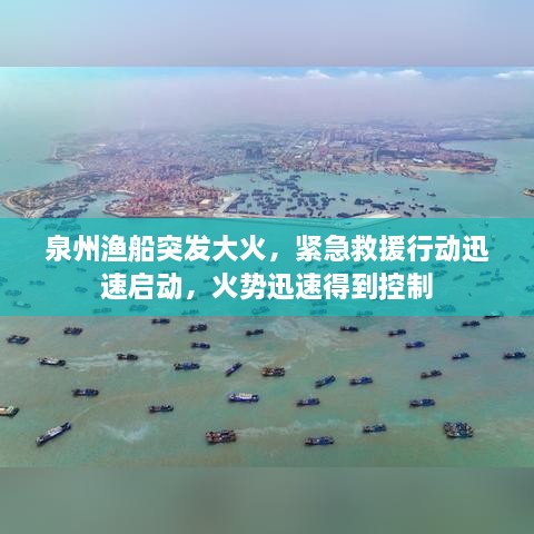 腾龙换鸟
