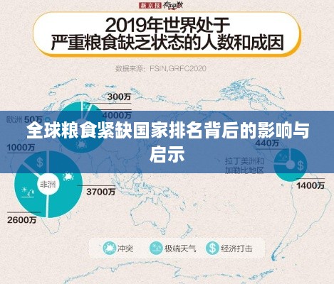全球粮食紧缺国家排名背后的影响与启示