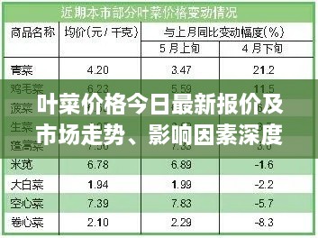 叶菜价格今日最新报价及市场走势、影响因素深度解析